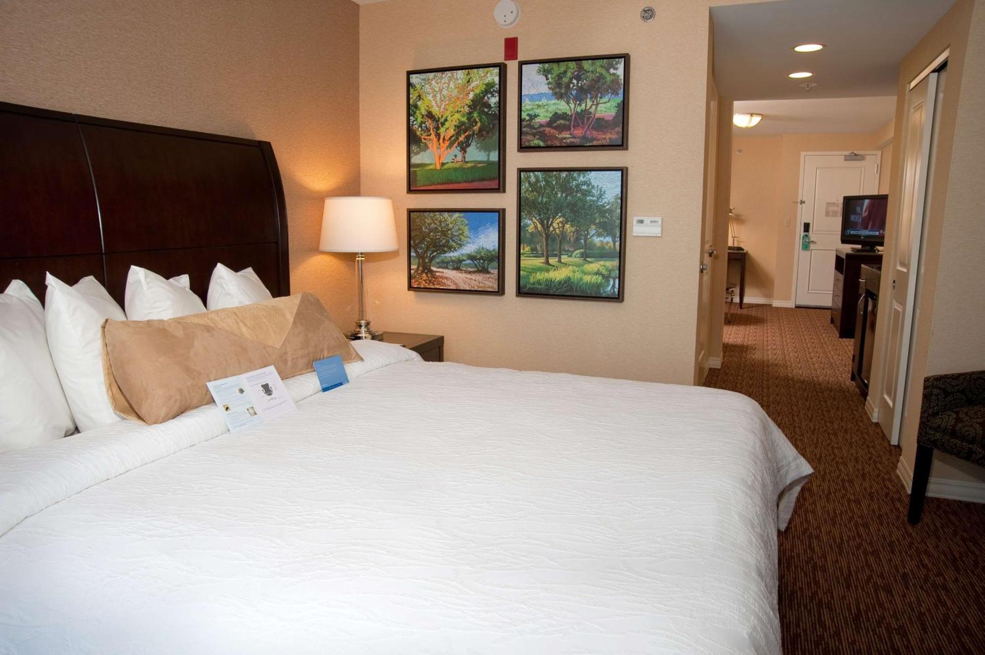 Hilton Garden Inn St. Louis Airport Berkeley Dış mekan fotoğraf